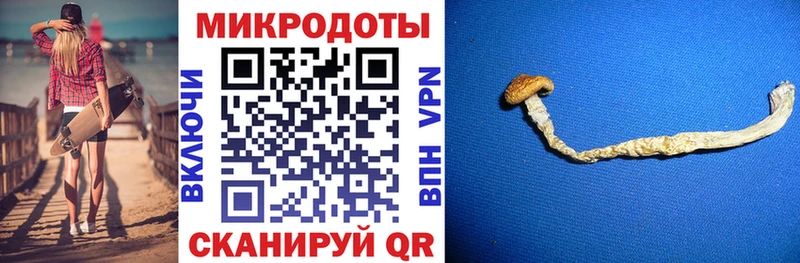 Купить где Мглин Галлюциногенные грибы ЛСД